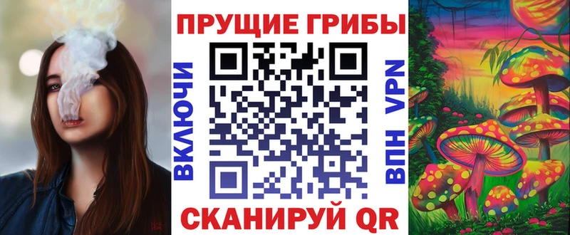 Псилоцибиновые грибы Psilocybe  Людиново 